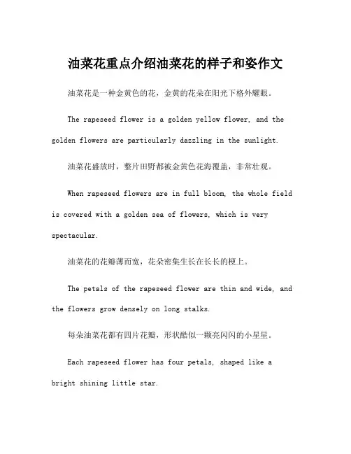 油菜花重点介绍油菜花的样子和姿作文