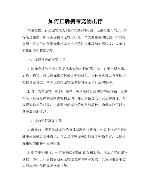 如何正确携带宠物出行