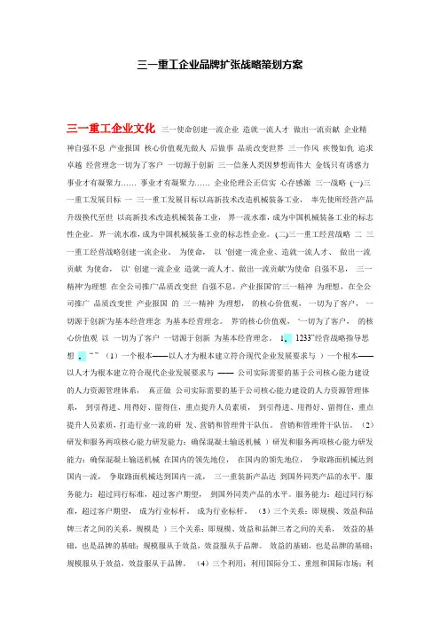 三一品牌战略案