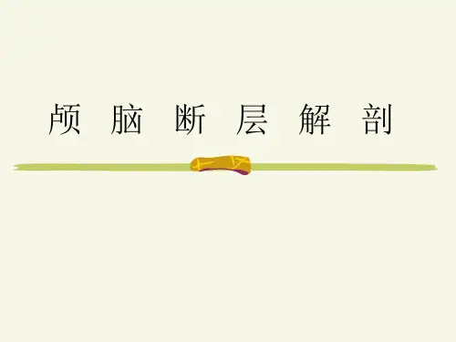 颅nao好解剖课件