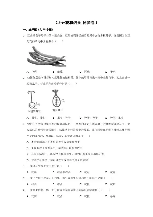 鲁科五四制版生物六年级下册开花和结果