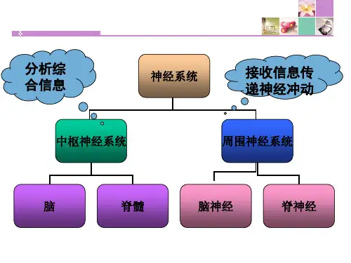 神经系统疾病常见症状体征ppt课件