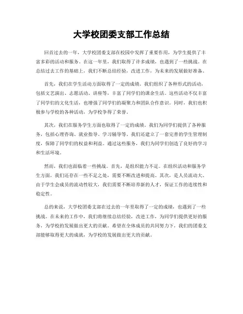 大学校团委支部工作总结