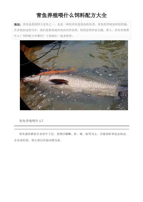 青鱼养殖喂什么饲料配方大全