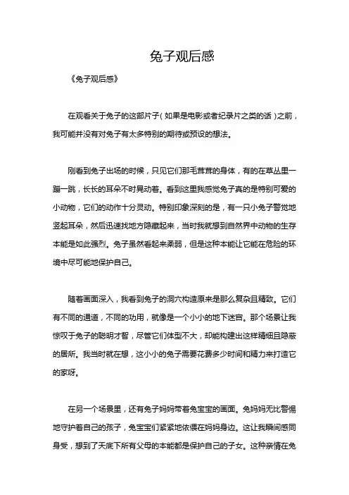 兔子观后感