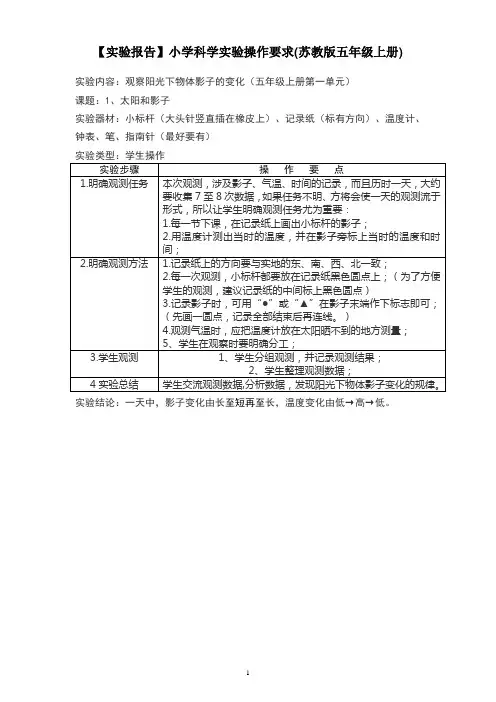 实验报告