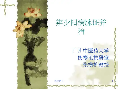 《少阳病篇七版》PPT课件