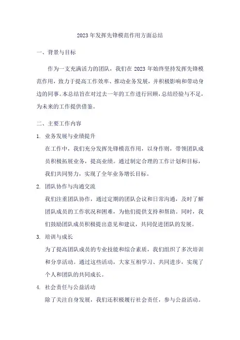 2023年发挥先锋模范方面总结