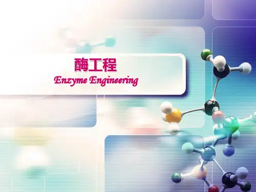 第一章 酶工程
