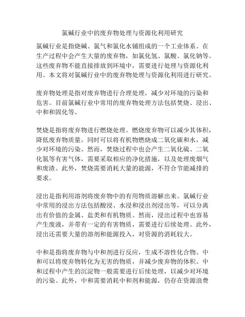 氯碱行业中的废弃物处理与资源化利用研究