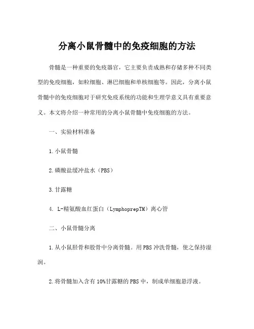 分离小鼠骨髓中的免疫细胞的方法