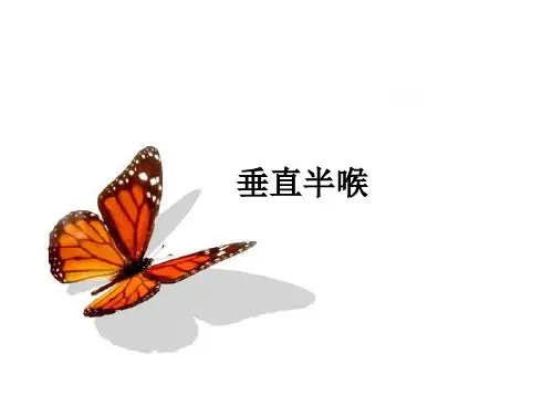 垂直半喉ppt课件
