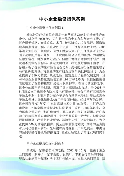 中小企业融资担保案例.doc