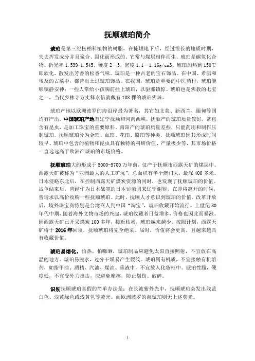 琥珀简介