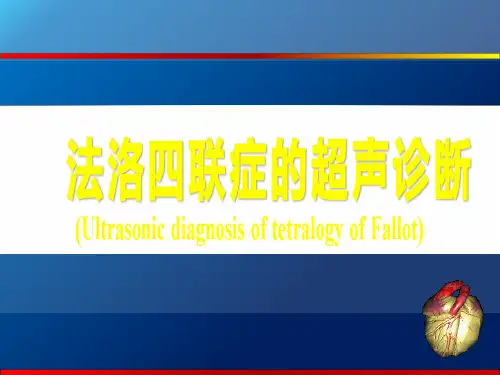 法洛四联症的超声诊断培训课件