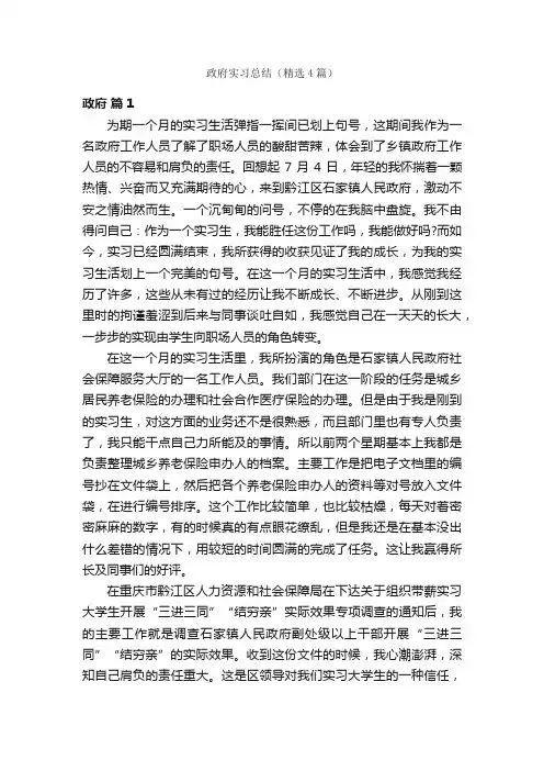 政府实习总结（精选4篇）