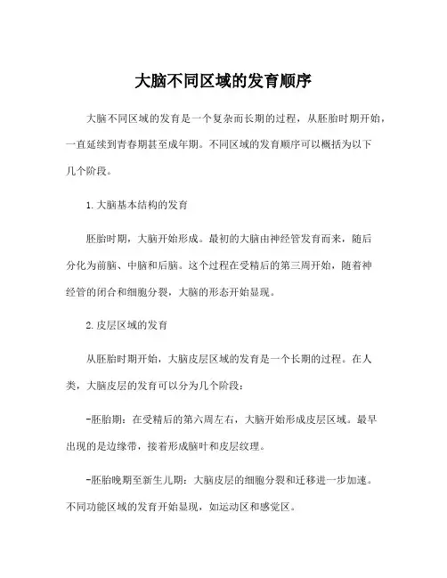 大脑不同区域的发育顺序