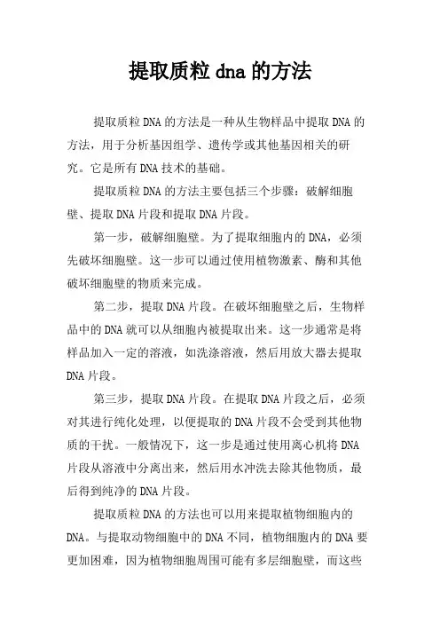 提取质粒dna的方法