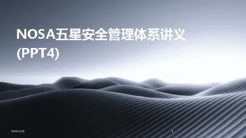 2024版NOSA五星安全管理体系讲义(PPT4)