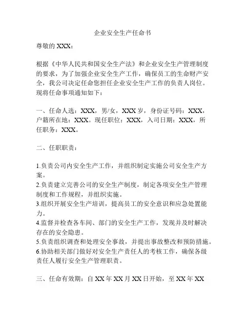 企业安全生产任命书