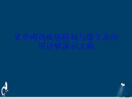 夏季肉鸡疾病防制与微生态应用详解演示文稿
