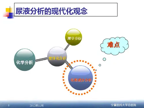 尿液分析标准化及复检规则的建立