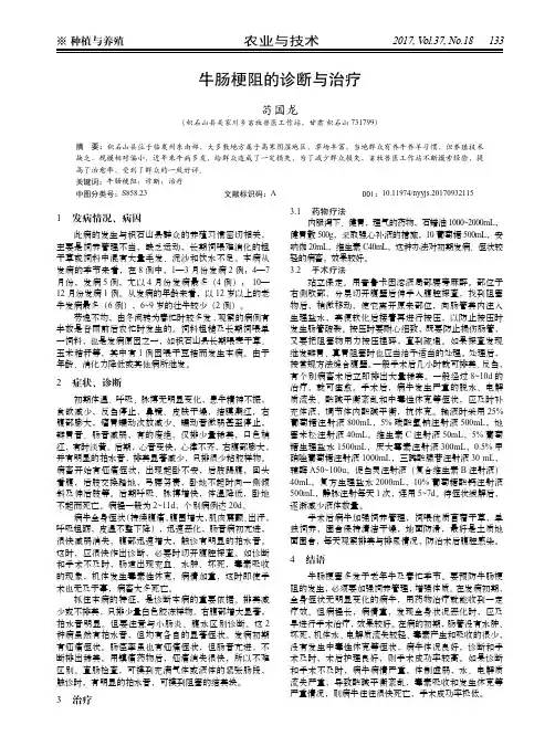 牛肠梗阻的诊断与治疗