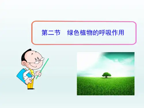七年级生物上册3.5.2绿色植物的呼吸作用