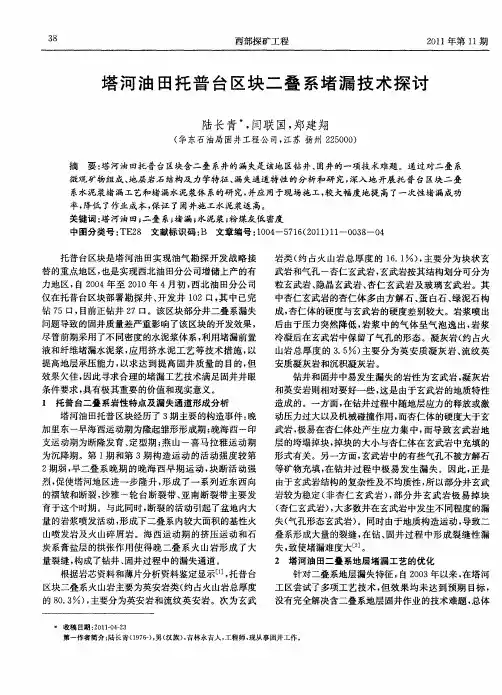 塔河油田托普台区块二叠系堵漏技术探讨