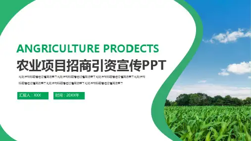农业项目招商引资环保PPT