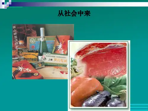 绿色食品的生产课件二16张人教版选修2