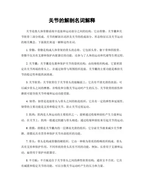 关节的解剖名词解释