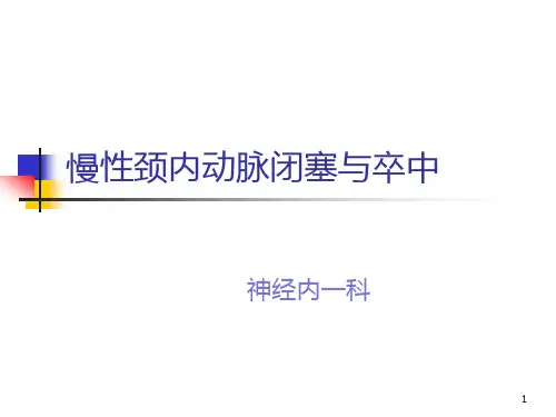 颈动脉闭塞PPT课件
