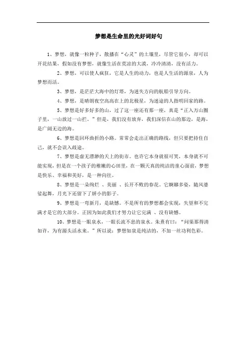 梦想是生命里的光好词好句