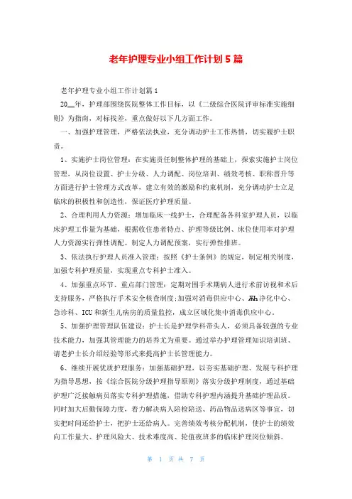 老年护理专业小组工作计划5篇