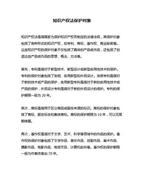 知识产权法保护对象