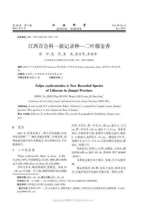 4836565_江西百合科一新记录种一二叶郁金香