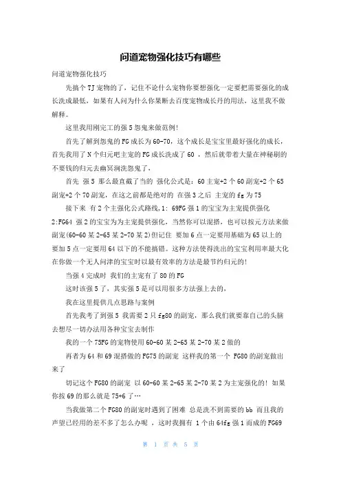 问道宠物强化技巧有哪些