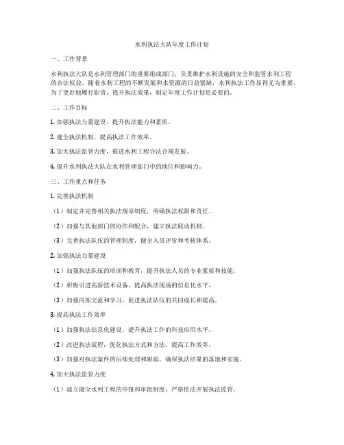 水利执法大队年度工作计划
