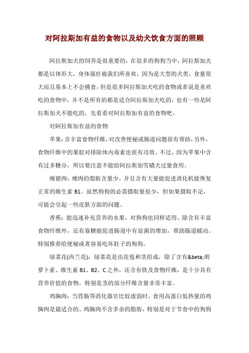 对阿拉斯加有益的食物以及幼犬饮食方面的照顾