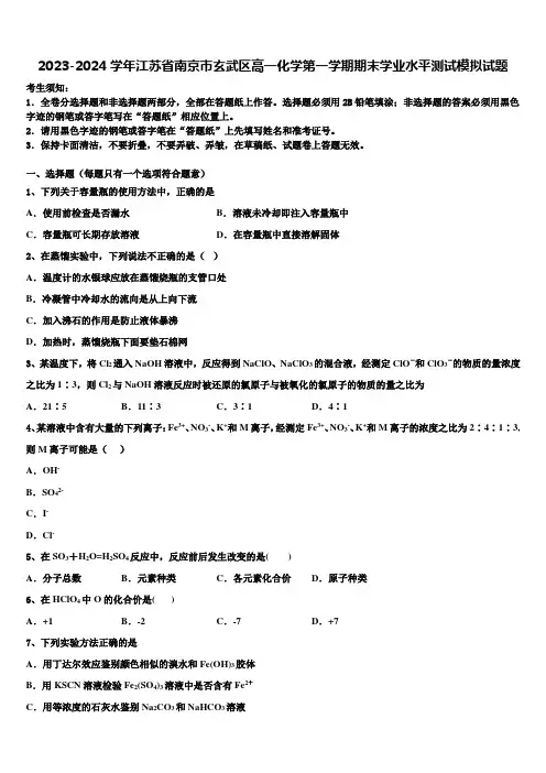 2023-2024学年江苏省南京市玄武区高一化学第一学期期末学业水平测试模拟试题含解析