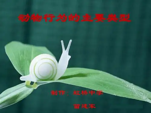 动物行为的主要类型PPT优秀课件6 北师大版