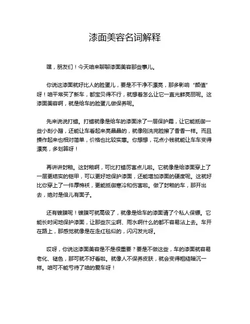 漆面美容名词解释