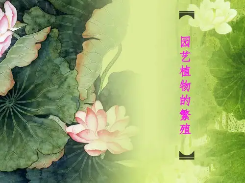 园艺植物的繁殖ppt课件