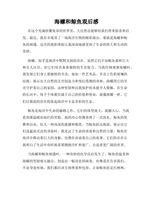 海螺和鲸鱼观后感