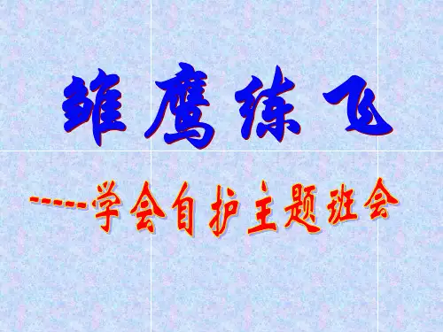 雏鹰练飞-----学会自护主题班会