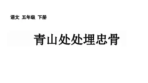 《青山处处埋忠骨》ppt课件
