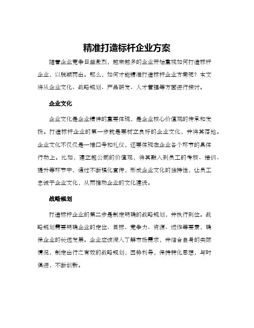 精准打造标杆企业方案