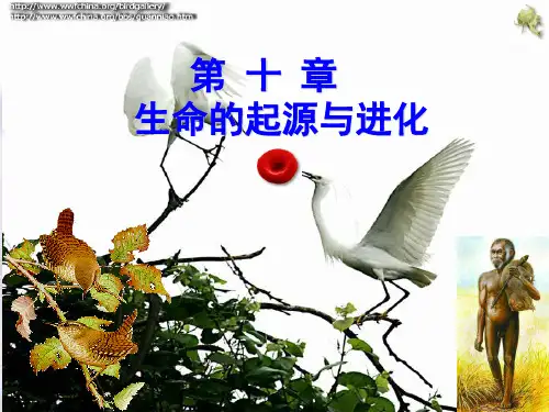 普通生物学：第10章 生物的起源与进化