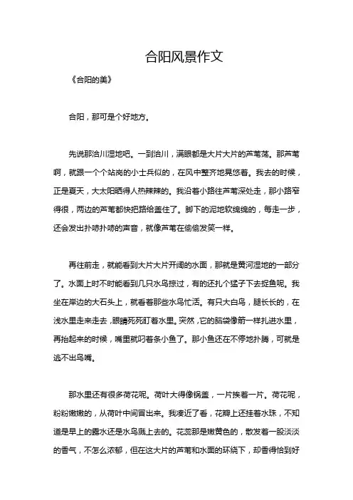 合阳风景作文
